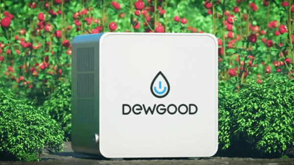 Dewgood DG-10