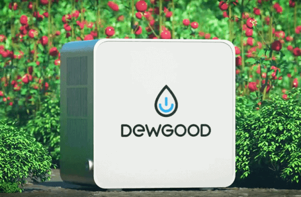 Dewgood DG-10