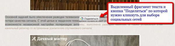 Кнопка "Поделиться" выделенным фрагментом