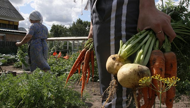 Обзор нового закона о садоводческих и огороднических хозяйствах
